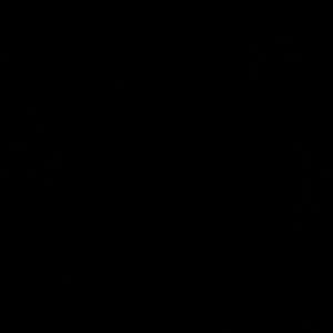 Meet your Posher, Rhiannon brown